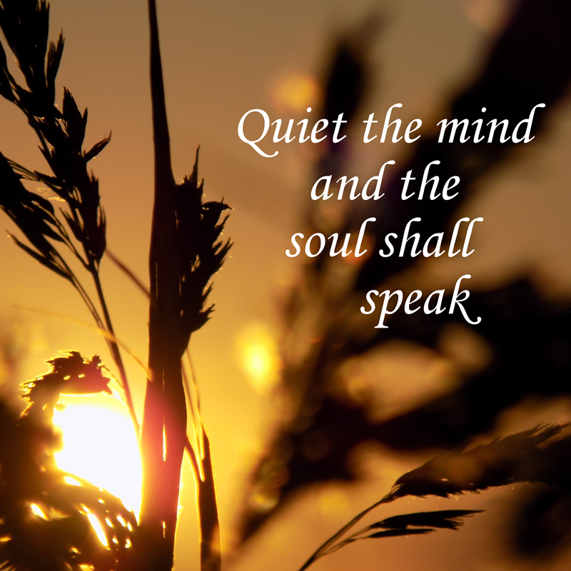 Quiet the Mind by Cheryl Van Der Raadt